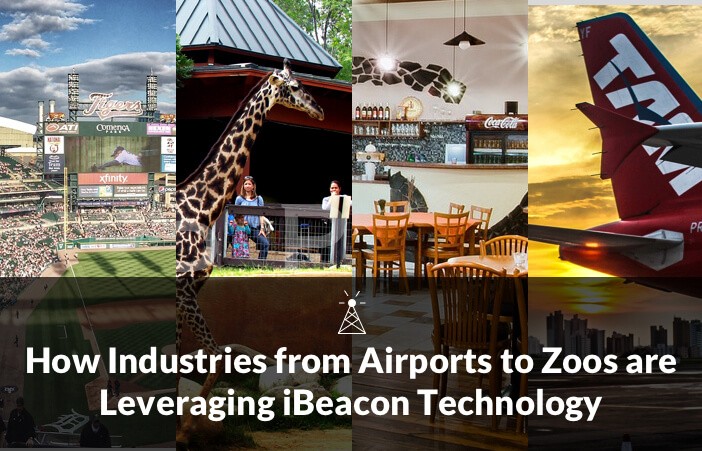 How-industries-from-Airports-to-Zoos