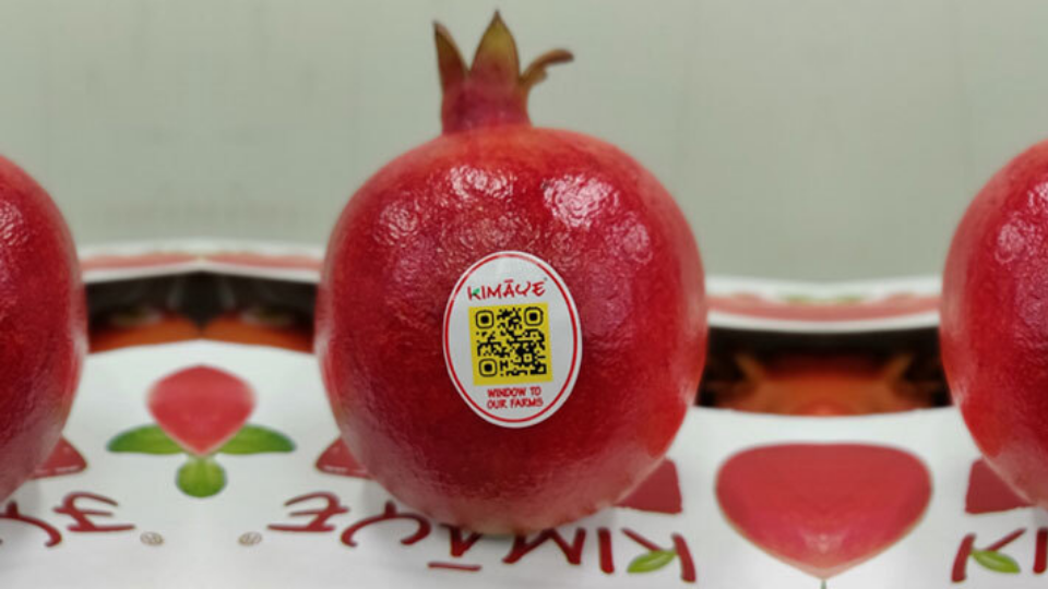 INI Farms' FruitRoute program uses QR Codes to trace the fruits' journey